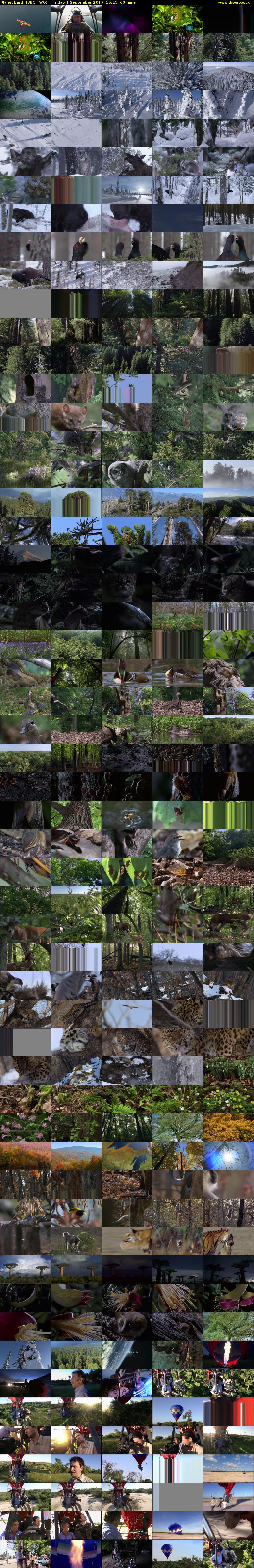 Planet Earth (BBC TWO) Friday 1 September 2017 16:15 - 17:15