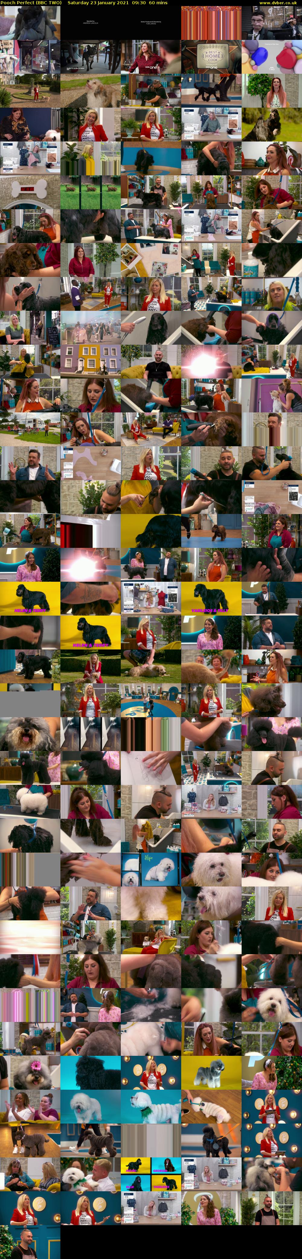 Pooch Perfect (BBC TWO) Saturday 23 January 2021 09:30 - 10:30