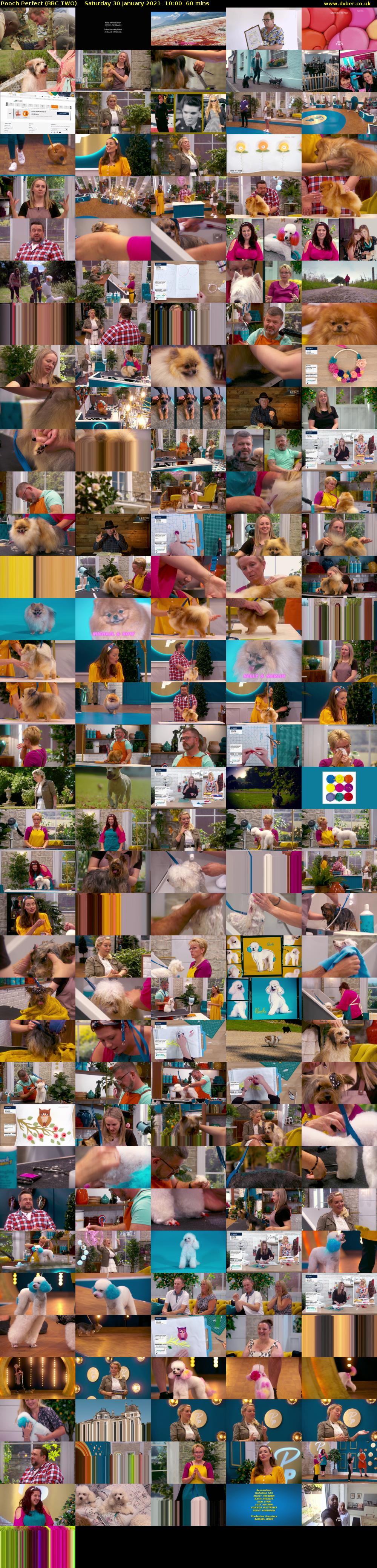 Pooch Perfect (BBC TWO) Saturday 30 January 2021 10:00 - 11:00
