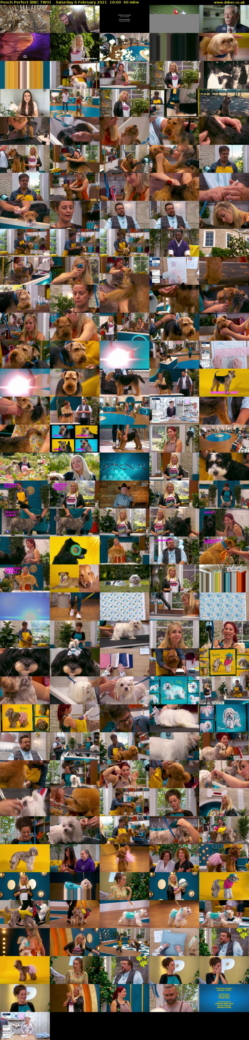 Pooch Perfect (BBC TWO) Saturday 6 February 2021 10:00 - 11:00