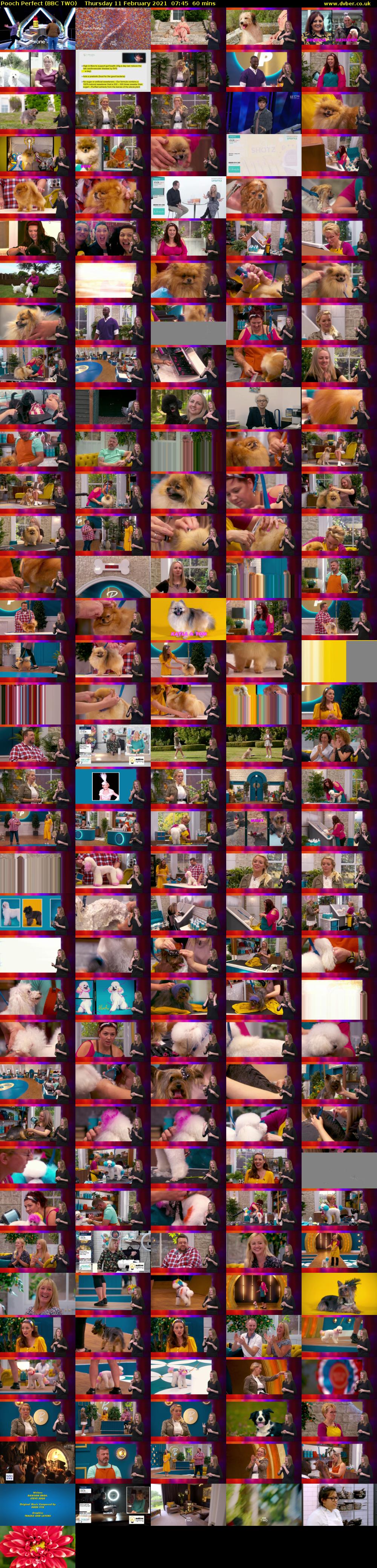 Pooch Perfect (BBC TWO) Thursday 11 February 2021 07:45 - 08:45