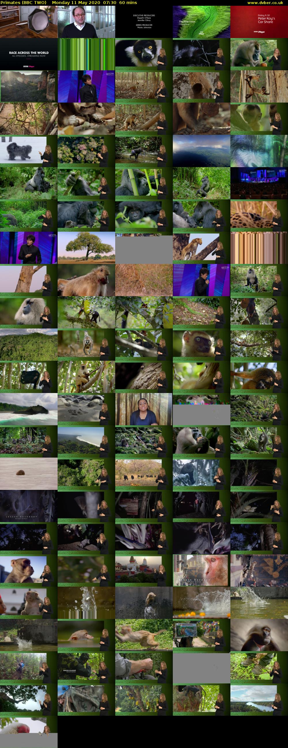 Primates (BBC TWO) Monday 11 May 2020 07:30 - 08:30