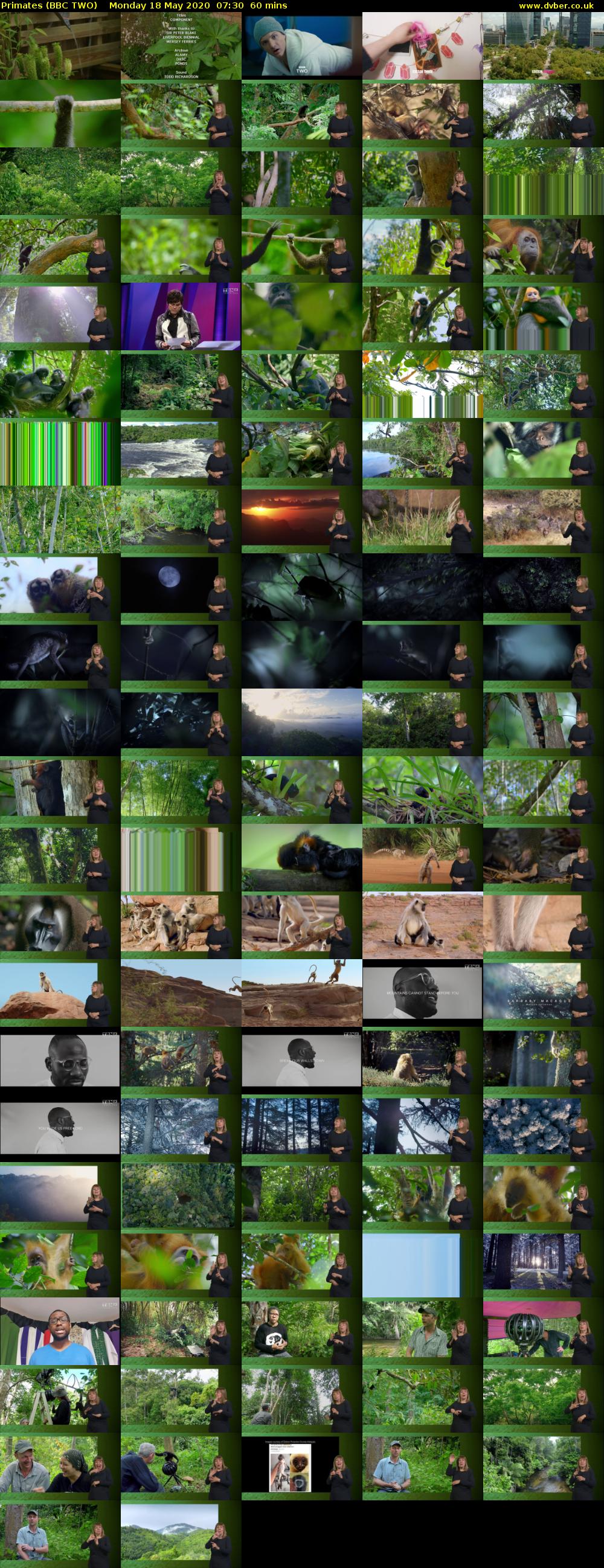 Primates (BBC TWO) Monday 18 May 2020 07:30 - 08:30