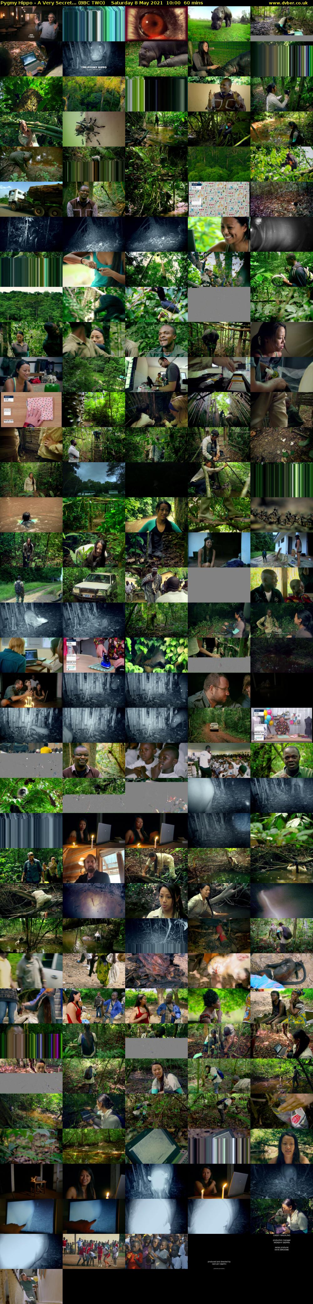 Pygmy Hippo - A Very Secret... (BBC TWO) Saturday 8 May 2021 10:00 - 11:00