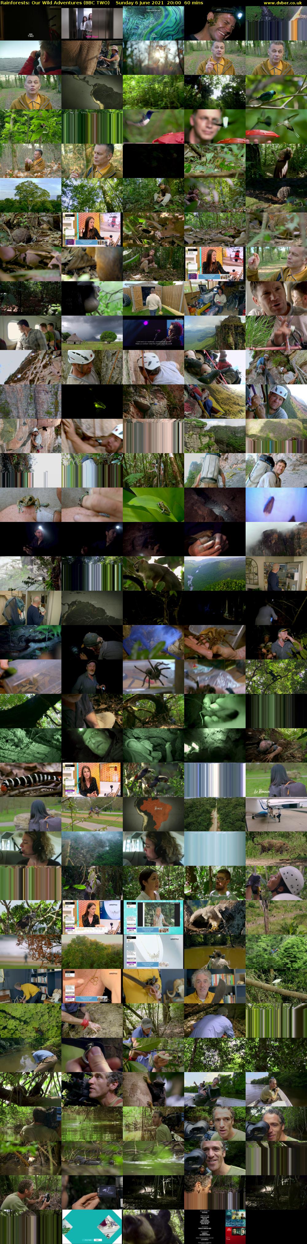 Rainforests: Our Wild Adventures (BBC TWO) Sunday 6 June 2021 20:00 - 21:00