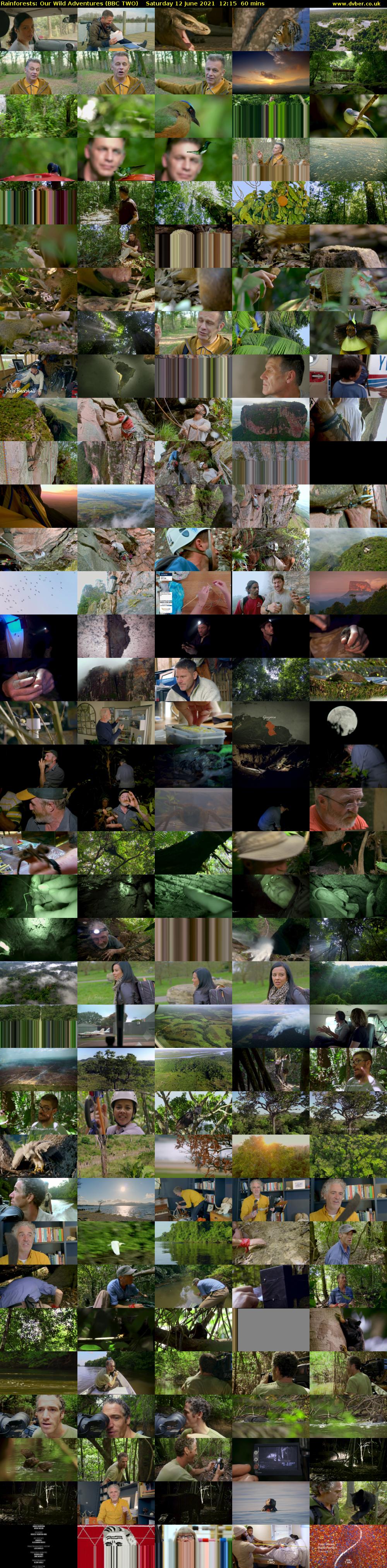 Rainforests: Our Wild Adventures (BBC TWO) Saturday 12 June 2021 12:15 - 13:15