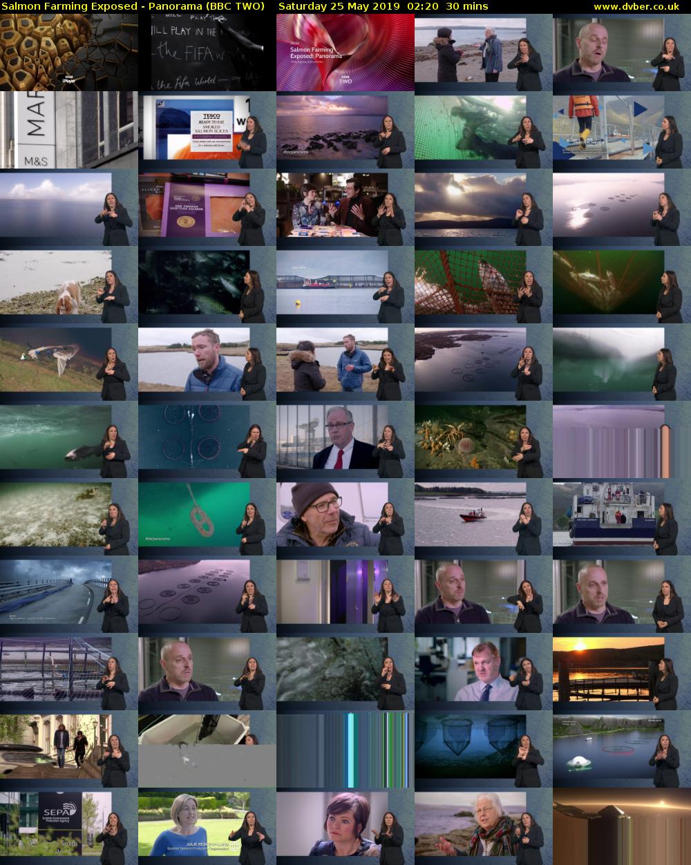 Salmon Farming Exposed - Panorama (BBC TWO) Saturday 25 May 2019 02:20 - 02:50