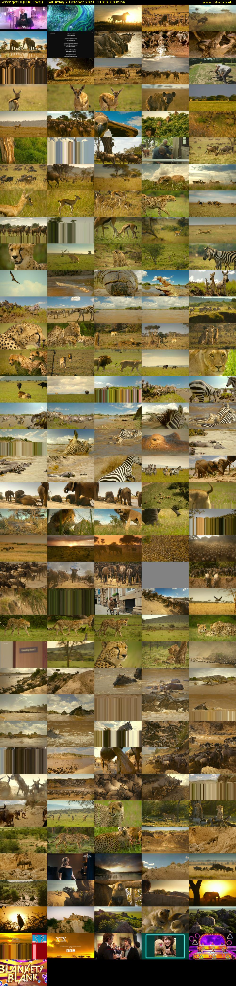 Serengeti II (BBC TWO) Saturday 2 October 2021 11:00 - 12:00