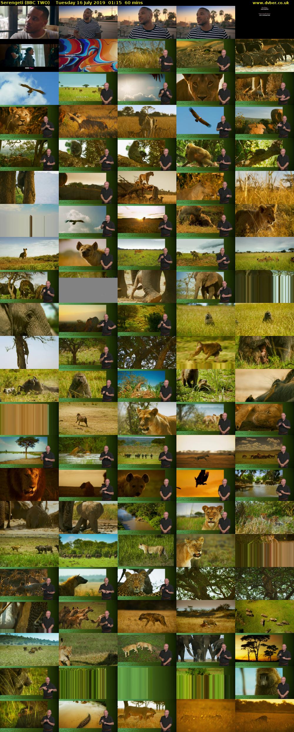 Serengeti (BBC TWO) Tuesday 16 July 2019 01:15 - 02:15
