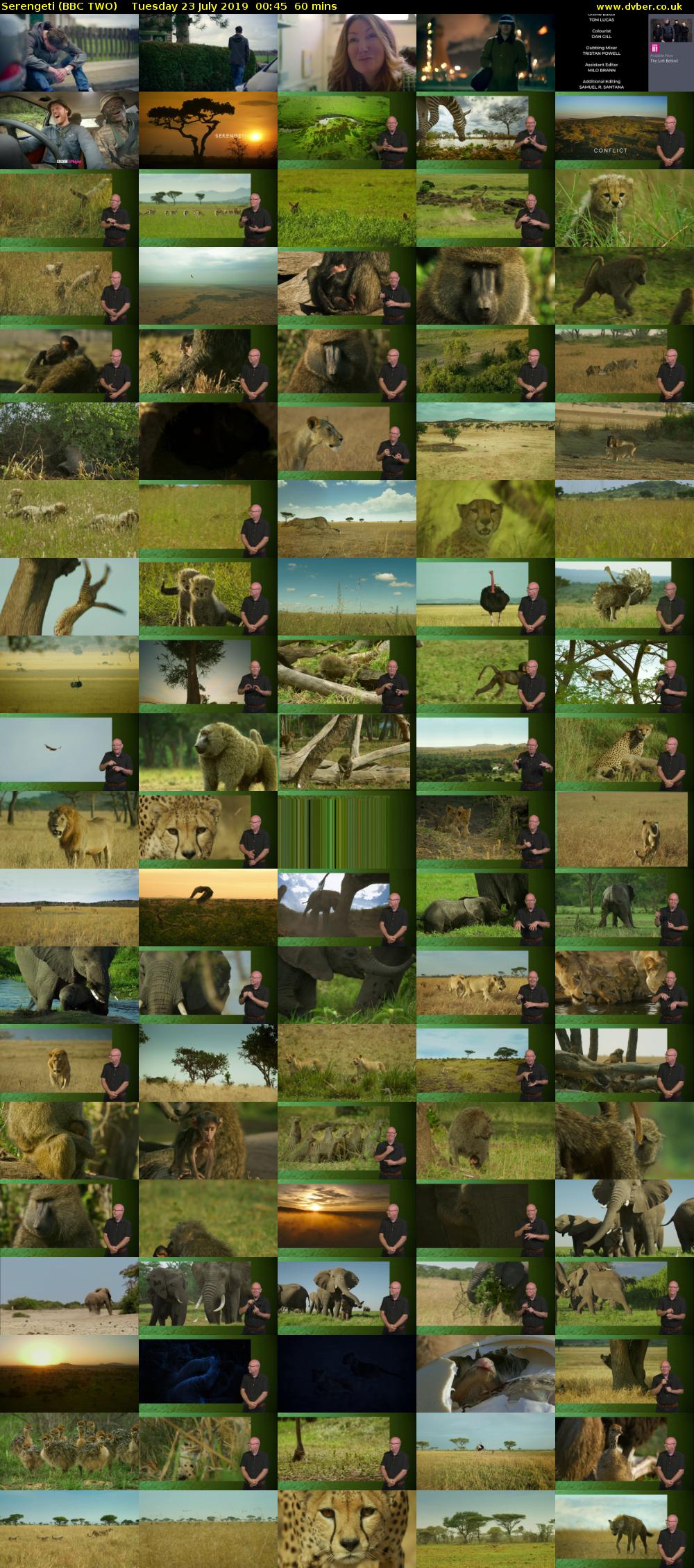 Serengeti (BBC TWO) Tuesday 23 July 2019 00:45 - 01:45
