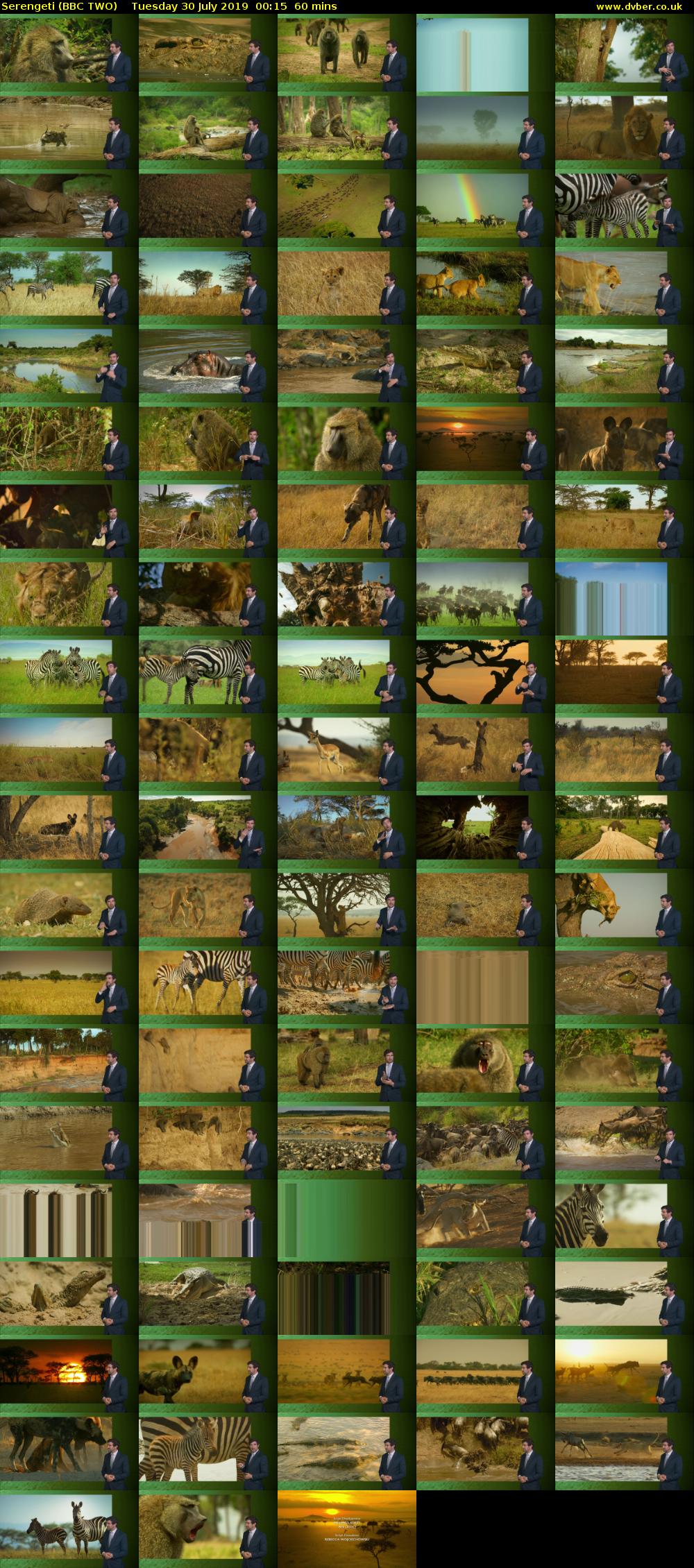 Serengeti (BBC TWO) Tuesday 30 July 2019 00:15 - 01:15