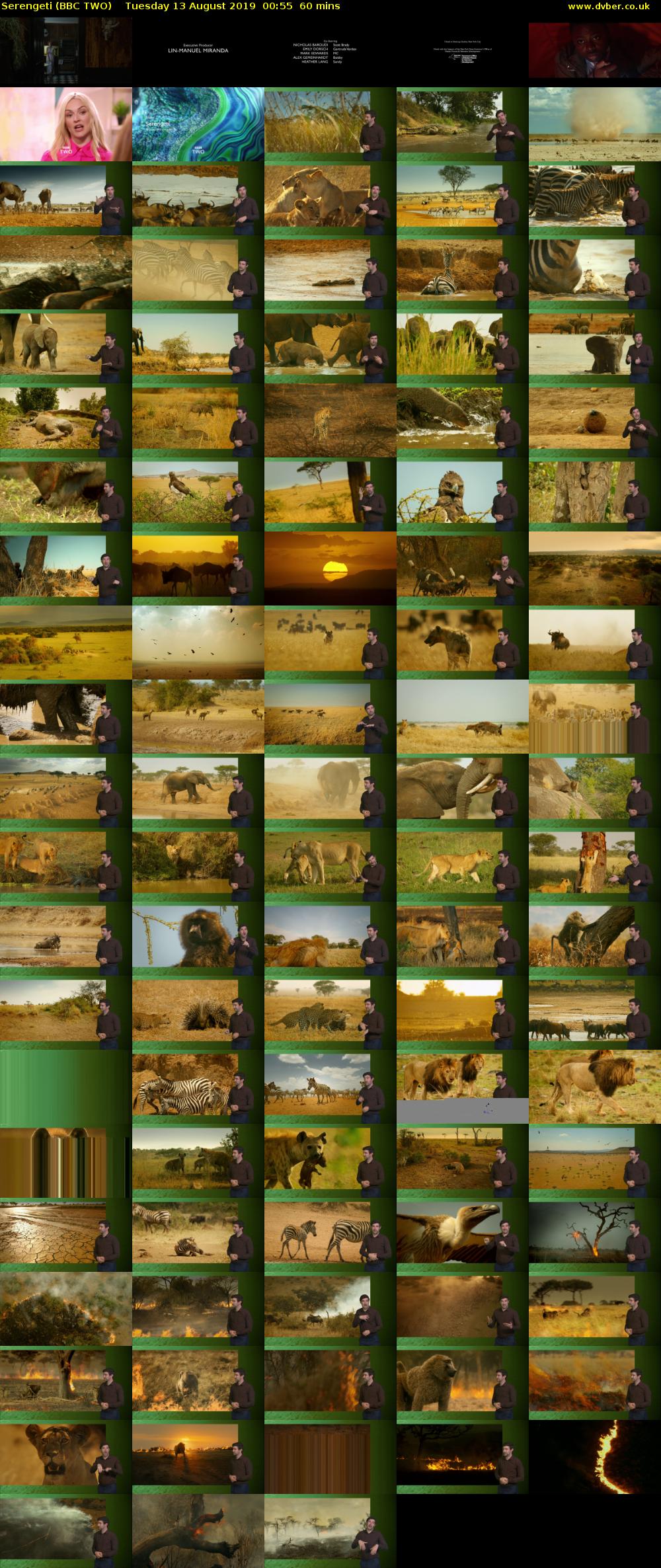 Serengeti (BBC TWO) Tuesday 13 August 2019 00:55 - 01:55