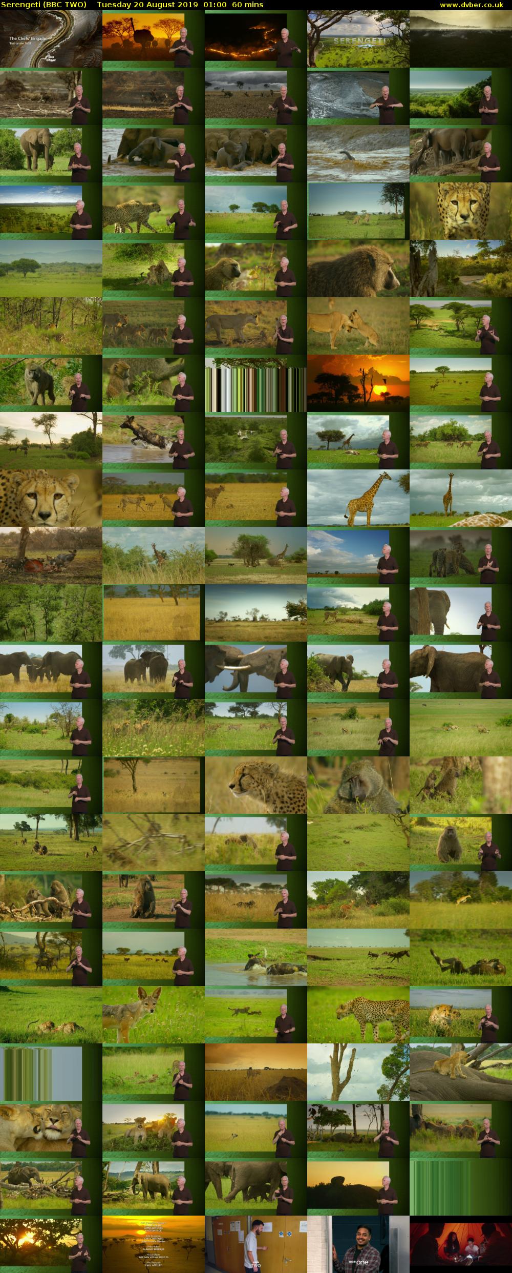 Serengeti (BBC TWO) Tuesday 20 August 2019 01:00 - 02:00