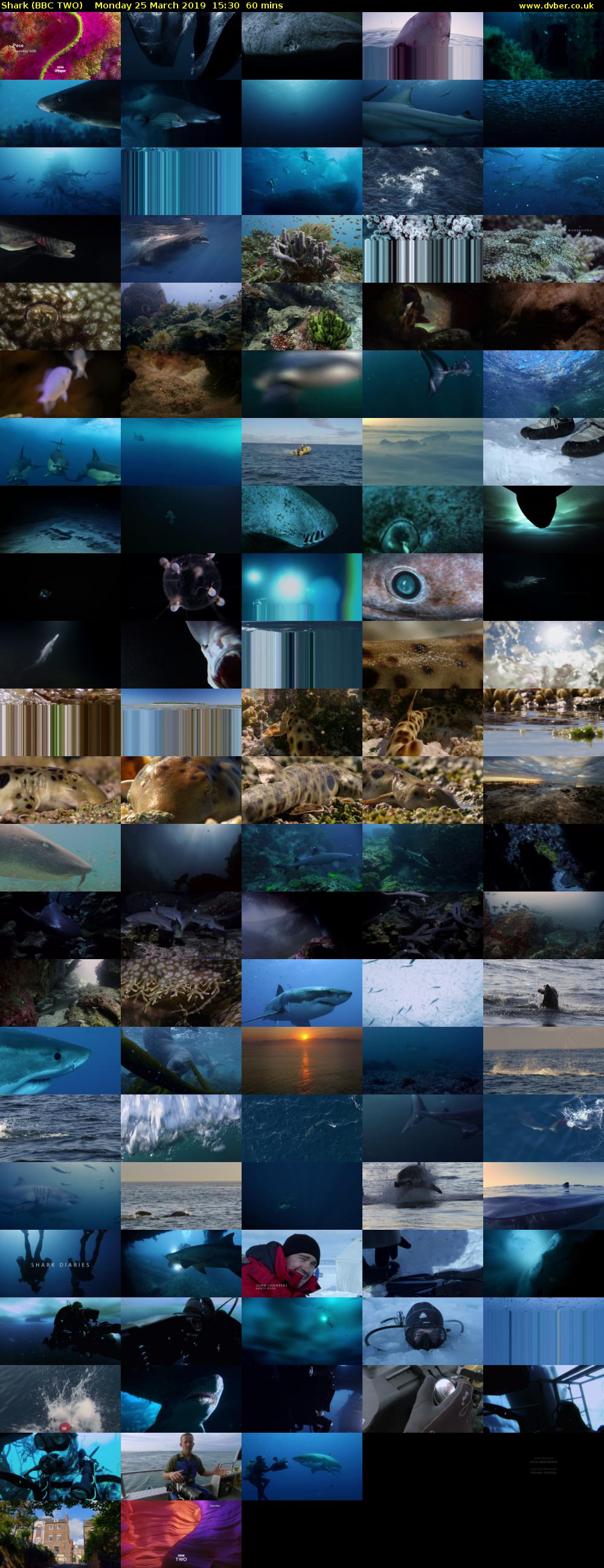 Shark (BBC TWO) Monday 25 March 2019 15:30 - 16:30