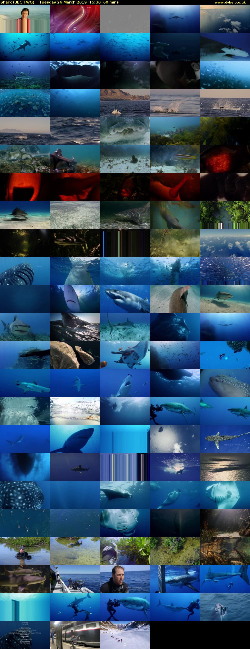 Shark (BBC TWO) Tuesday 26 March 2019 15:30 - 16:30