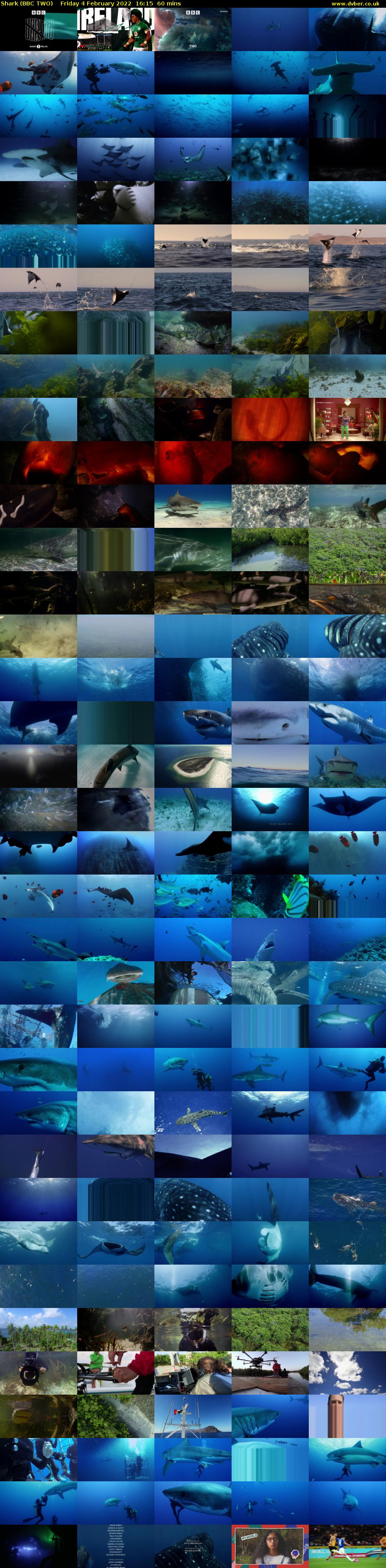 Shark (BBC TWO) Friday 4 February 2022 16:15 - 17:15