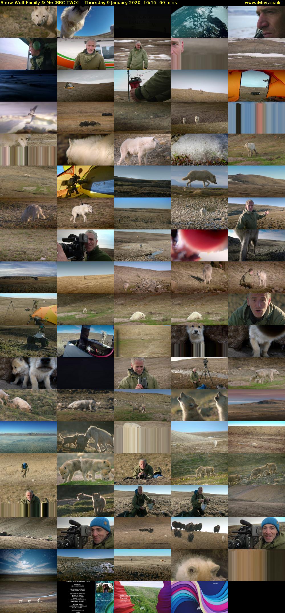 Snow Wolf Family & Me (BBC TWO) Thursday 9 January 2020 16:15 - 17:15