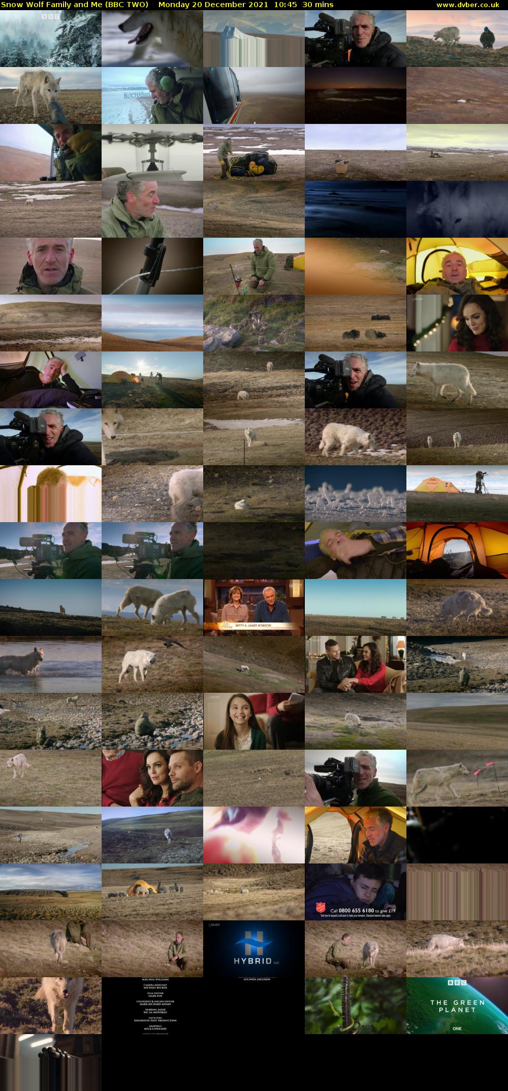 Snow Wolf Family and Me (BBC TWO) Monday 20 December 2021 10:45 - 11:15