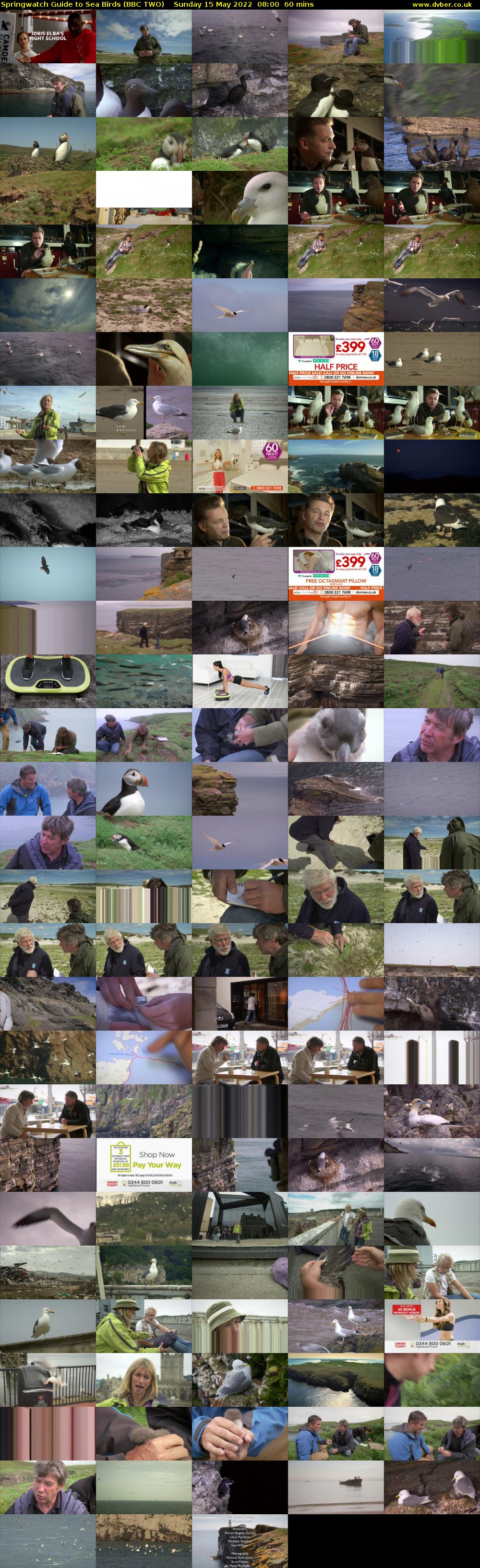 Springwatch Guide to Sea Birds (BBC TWO) Sunday 15 May 2022 08:00 - 09:00