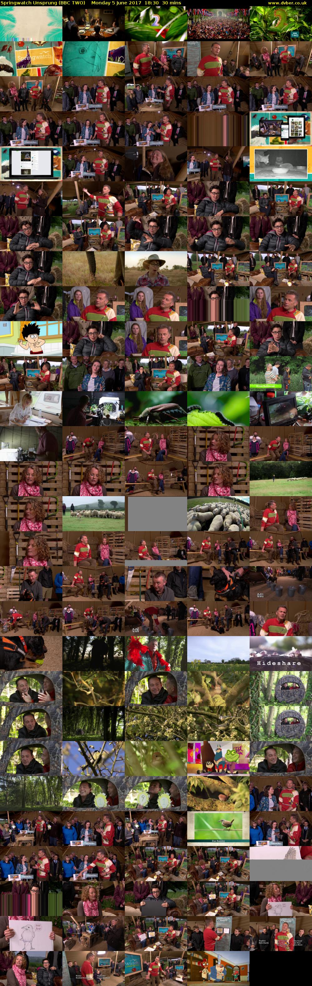Springwatch Unsprung (BBC TWO) Monday 5 June 2017 18:30 - 19:00