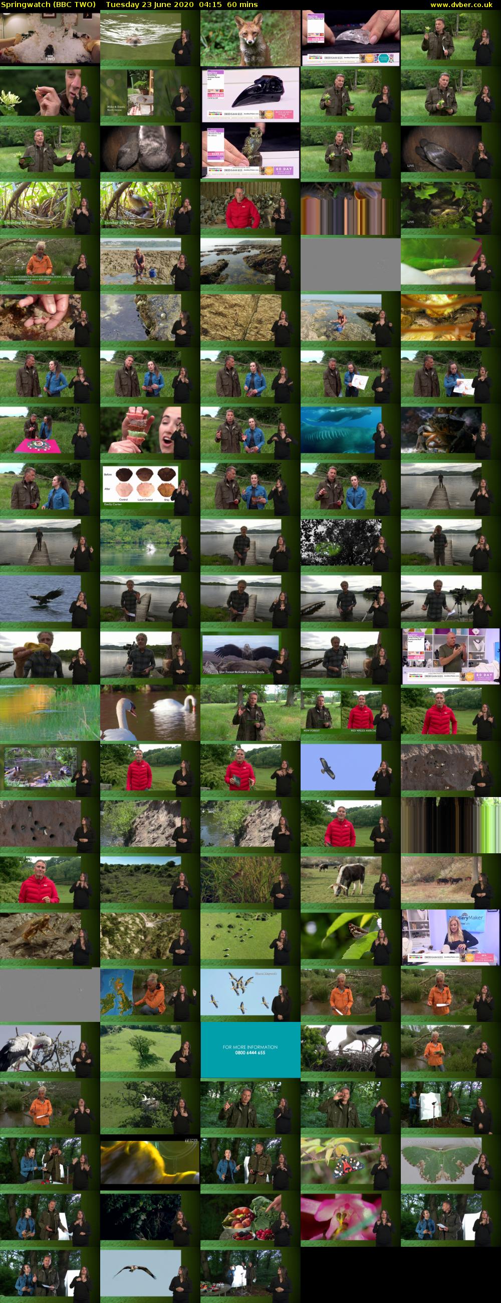 Springwatch (BBC TWO) Tuesday 23 June 2020 04:15 - 05:15