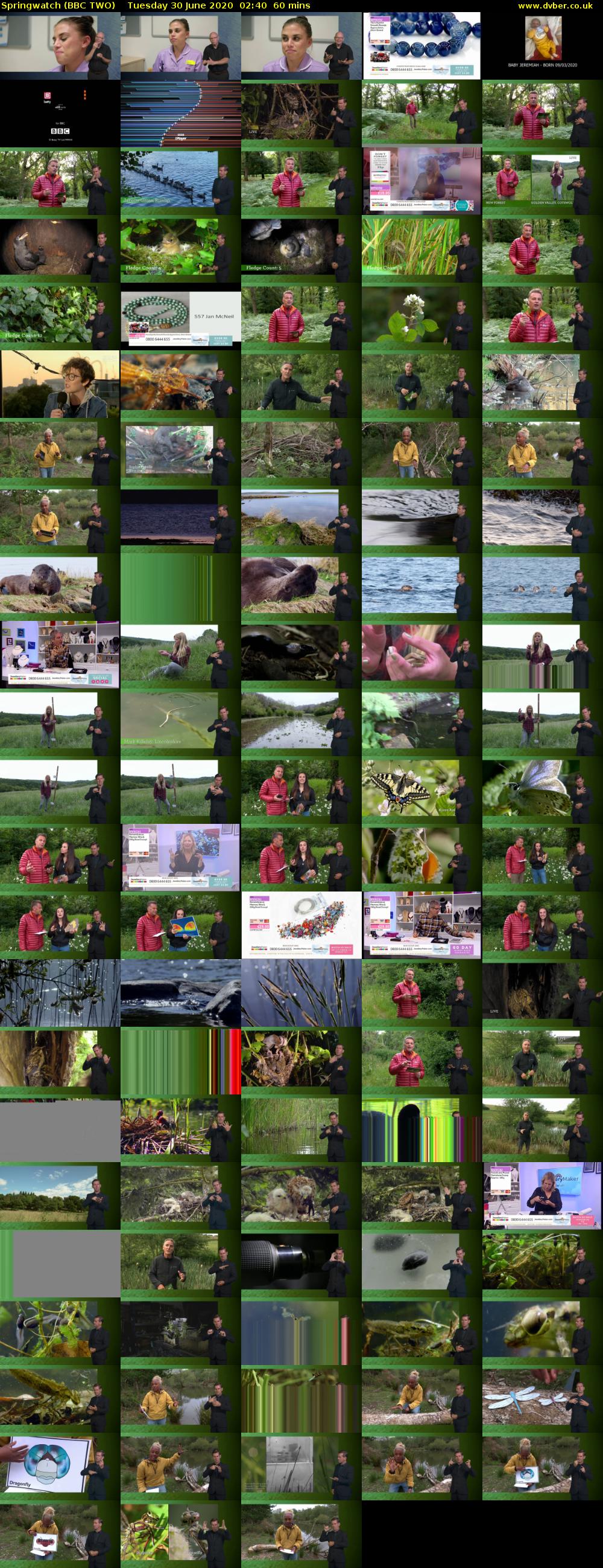 Springwatch (BBC TWO) Tuesday 30 June 2020 02:40 - 03:40