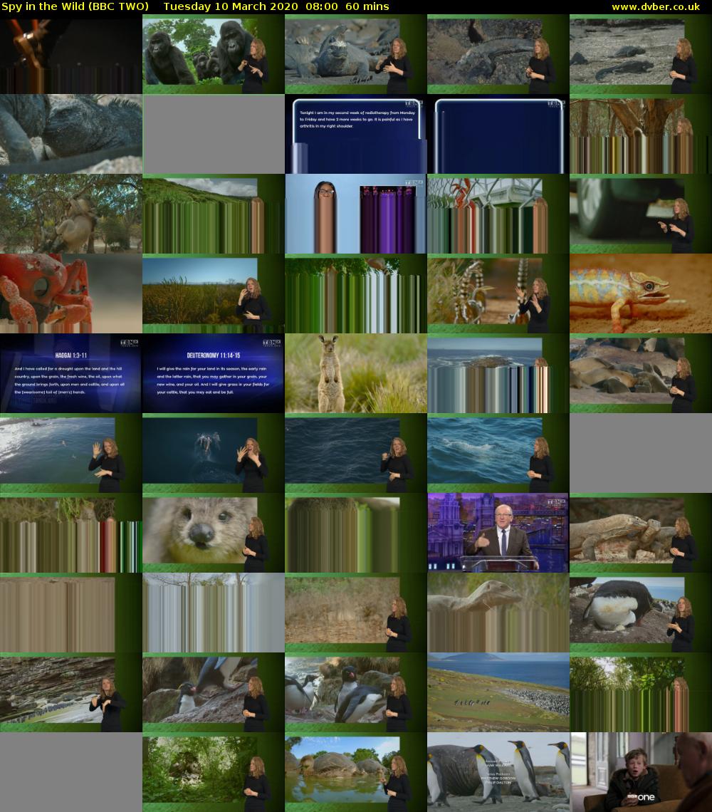 Spy in the Wild (BBC TWO) Tuesday 10 March 2020 08:00 - 09:00