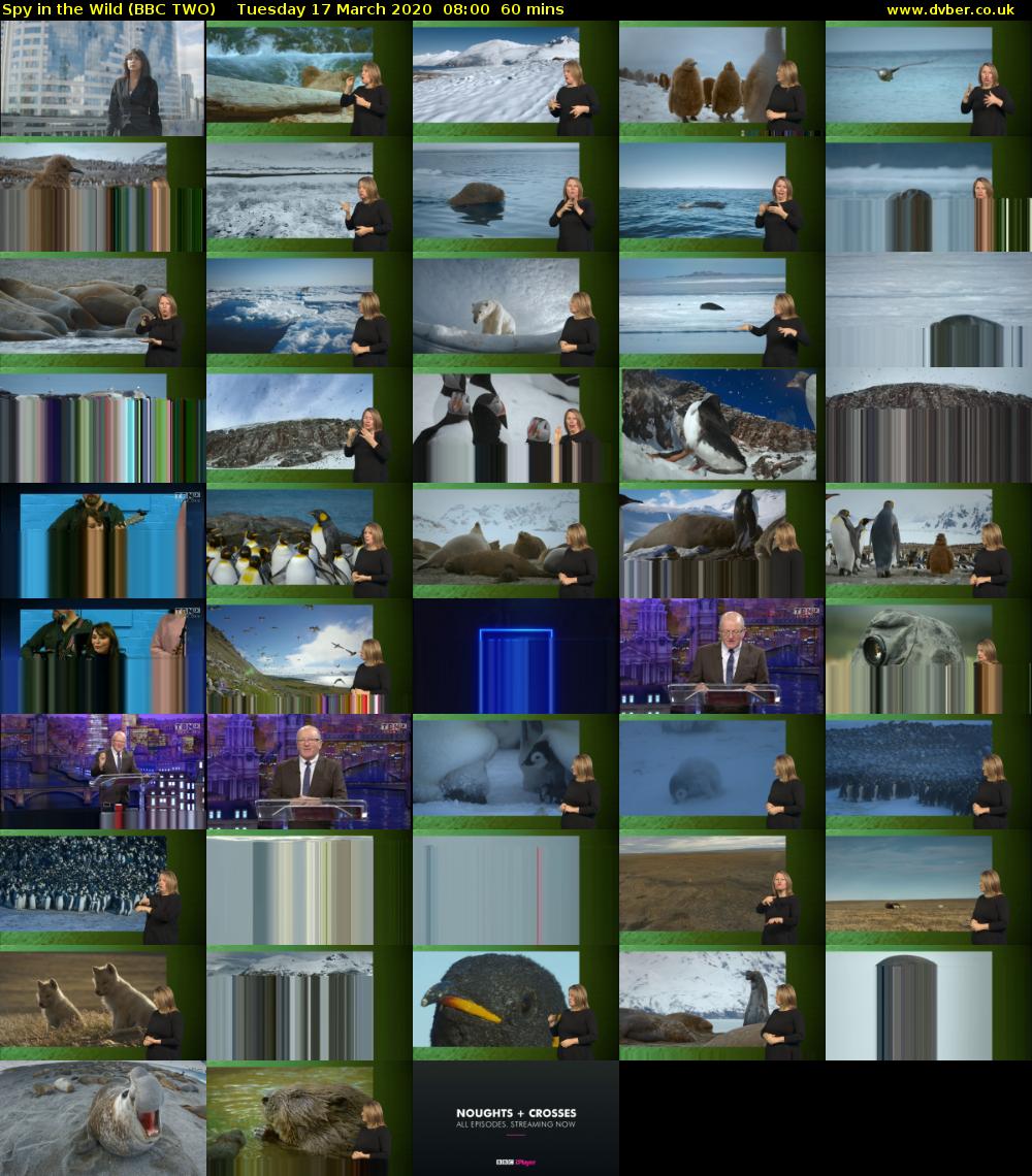 Spy in the Wild (BBC TWO) Tuesday 17 March 2020 08:00 - 09:00