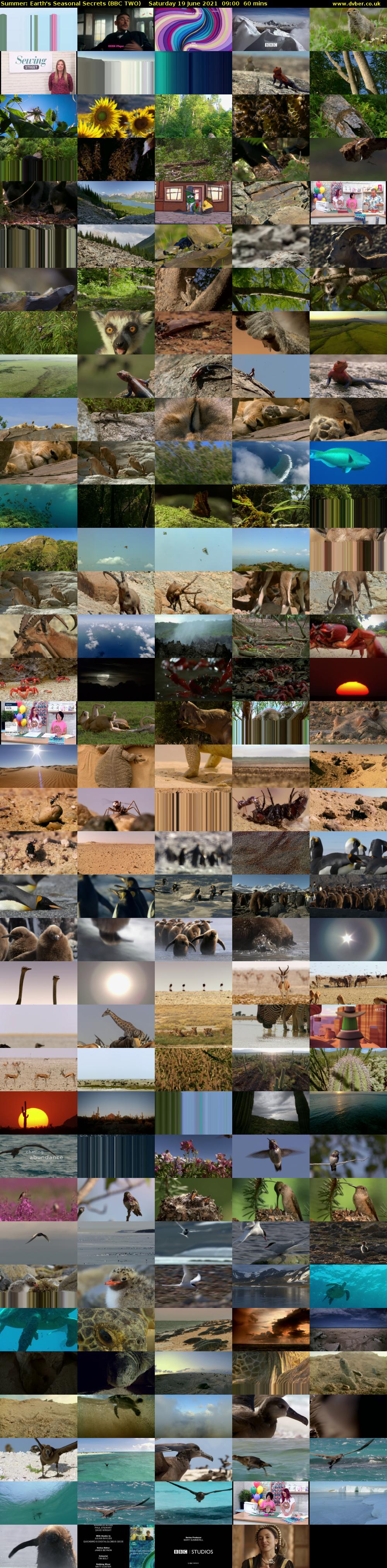 Summer: Earth's Seasonal Secrets (BBC TWO) Saturday 19 June 2021 09:00 - 10:00