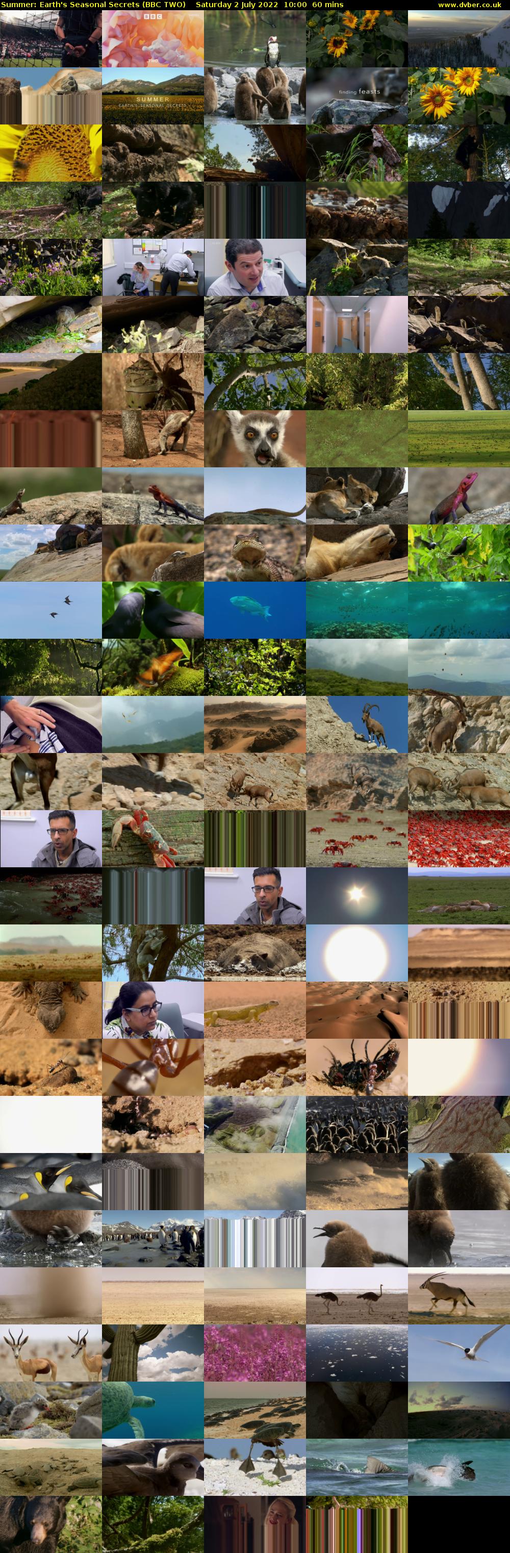 Summer: Earth's Seasonal Secrets (BBC TWO) Saturday 2 July 2022 10:00 - 11:00