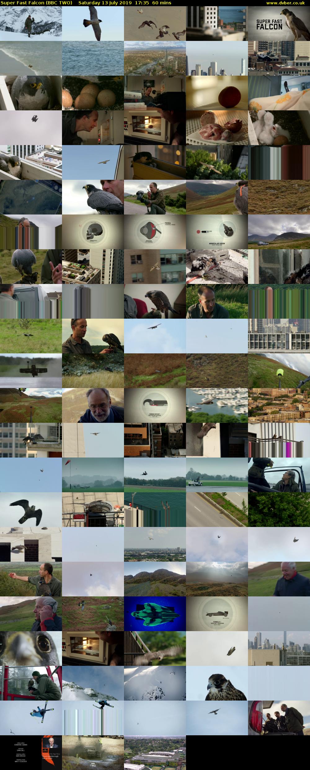 Super Fast Falcon (BBC TWO) Saturday 13 July 2019 17:35 - 18:35