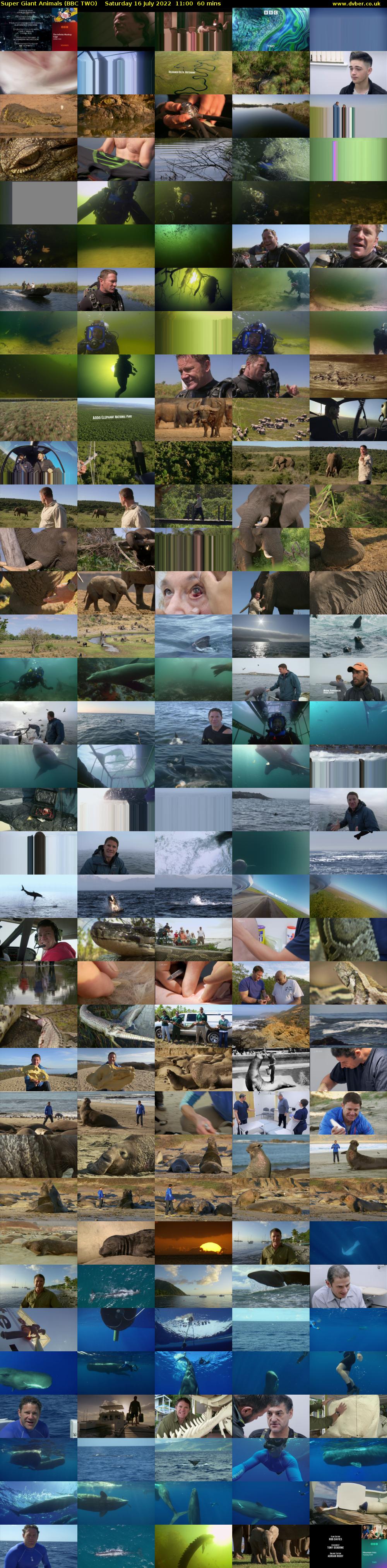 Super Giant Animals (BBC TWO) Saturday 16 July 2022 11:00 - 12:00