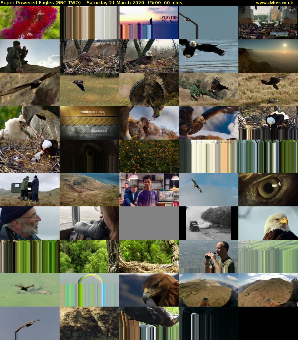 Super Powered Eagles (BBC TWO) Saturday 21 March 2020 15:00 - 16:00