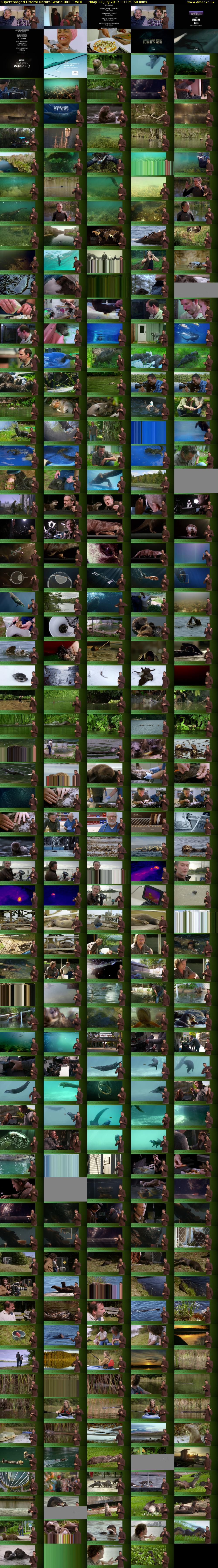 Supercharged Otters: Natural World (BBC TWO) Friday 14 July 2017 01:15 - 02:15