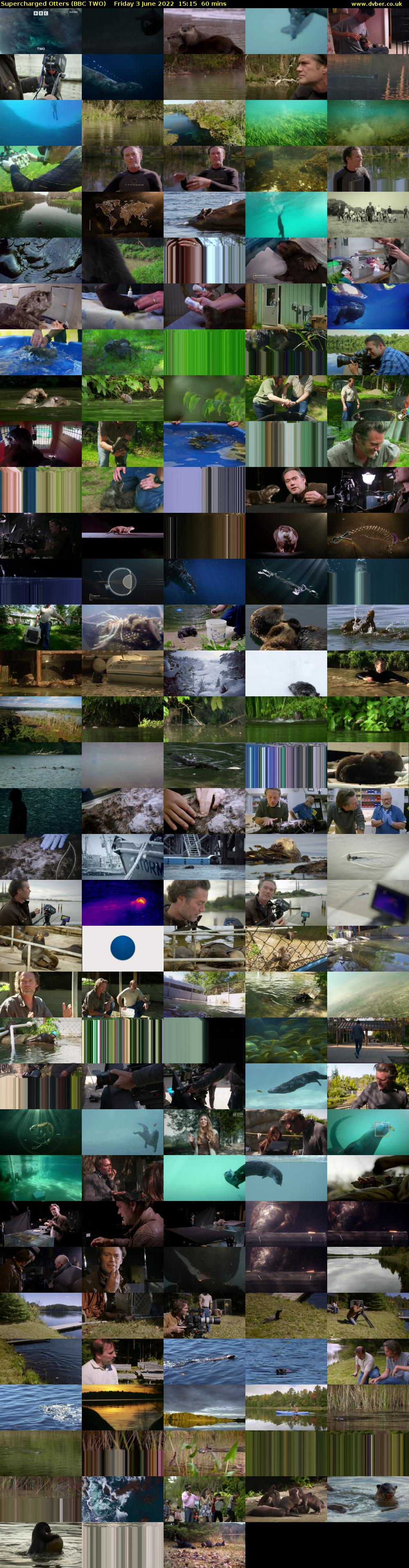 Supercharged Otters (BBC TWO) Friday 3 June 2022 15:15 - 16:15