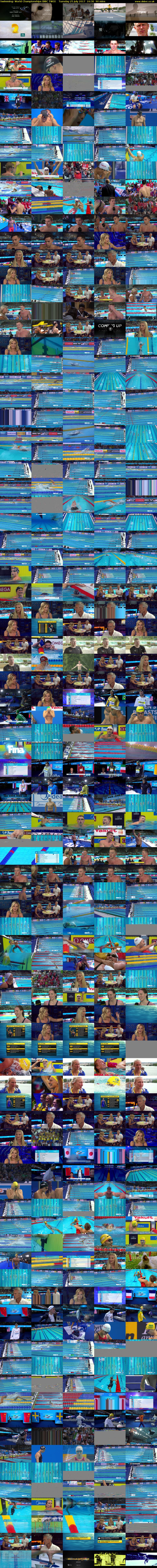 Swimming: World Championships (BBC TWO) Tuesday 25 July 2017 16:30 - 18:00