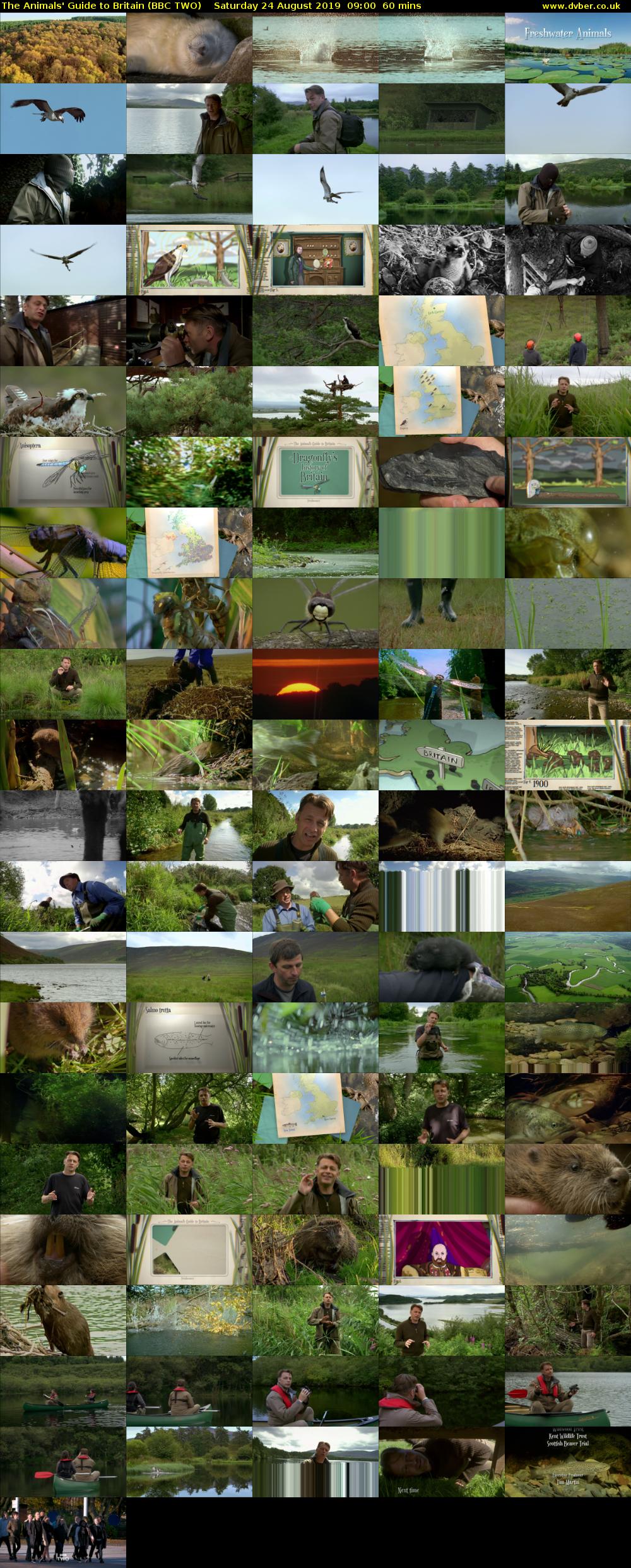 The Animals' Guide to Britain (BBC TWO) Saturday 24 August 2019 09:00 - 10:00