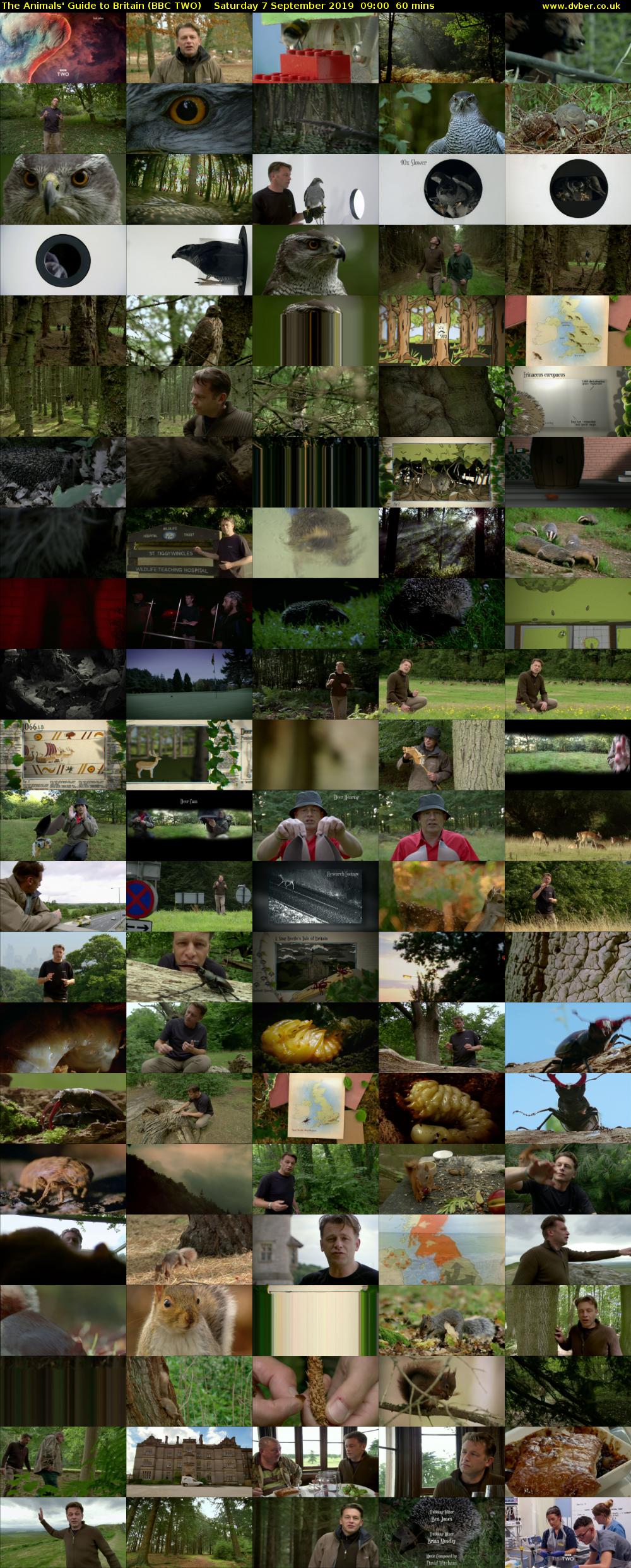 The Animals' Guide to Britain (BBC TWO) Saturday 7 September 2019 09:00 - 10:00