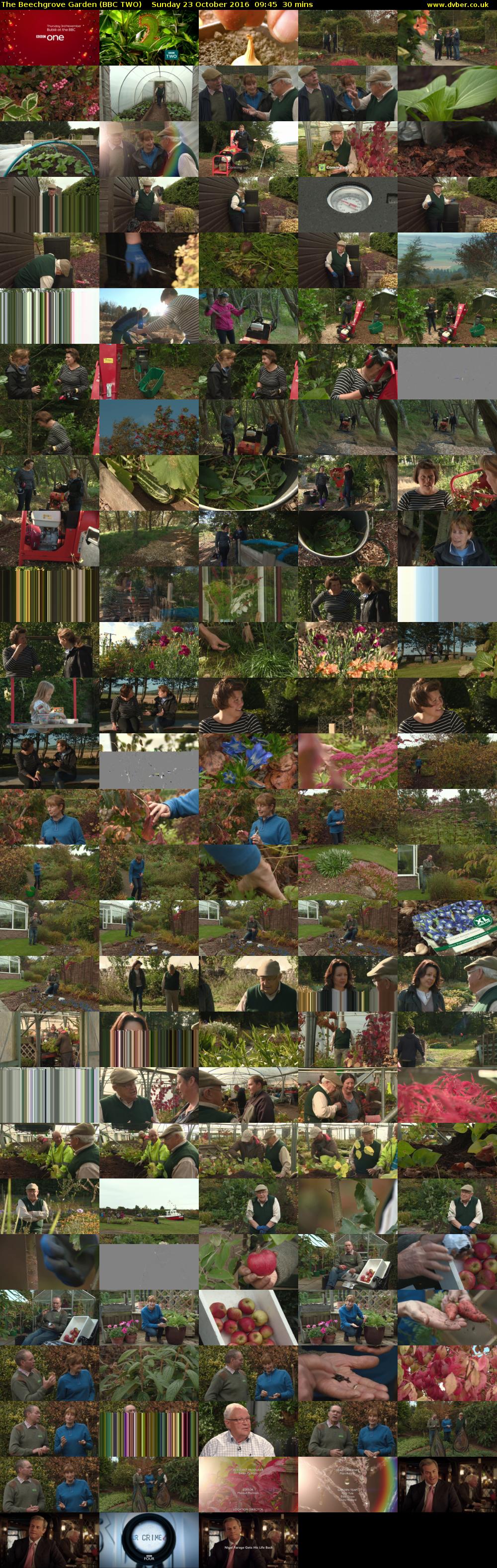 The Beechgrove Garden (BBC TWO) Sunday 23 October 2016 09:45 - 10:15