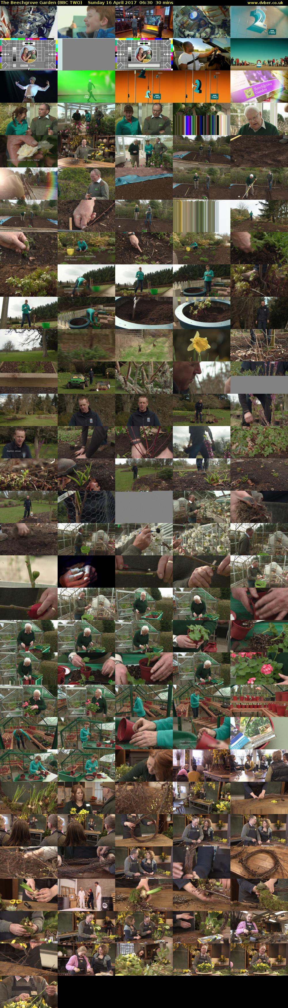 The Beechgrove Garden (BBC TWO) Sunday 16 April 2017 06:30 - 07:00