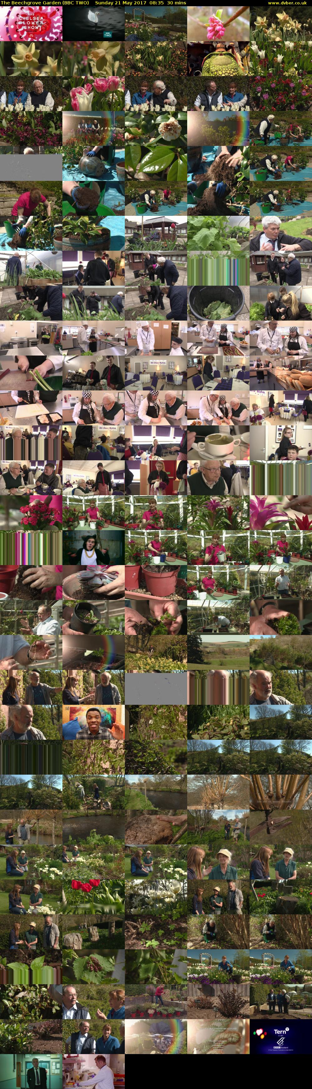 The Beechgrove Garden (BBC TWO) Sunday 21 May 2017 08:35 - 09:05