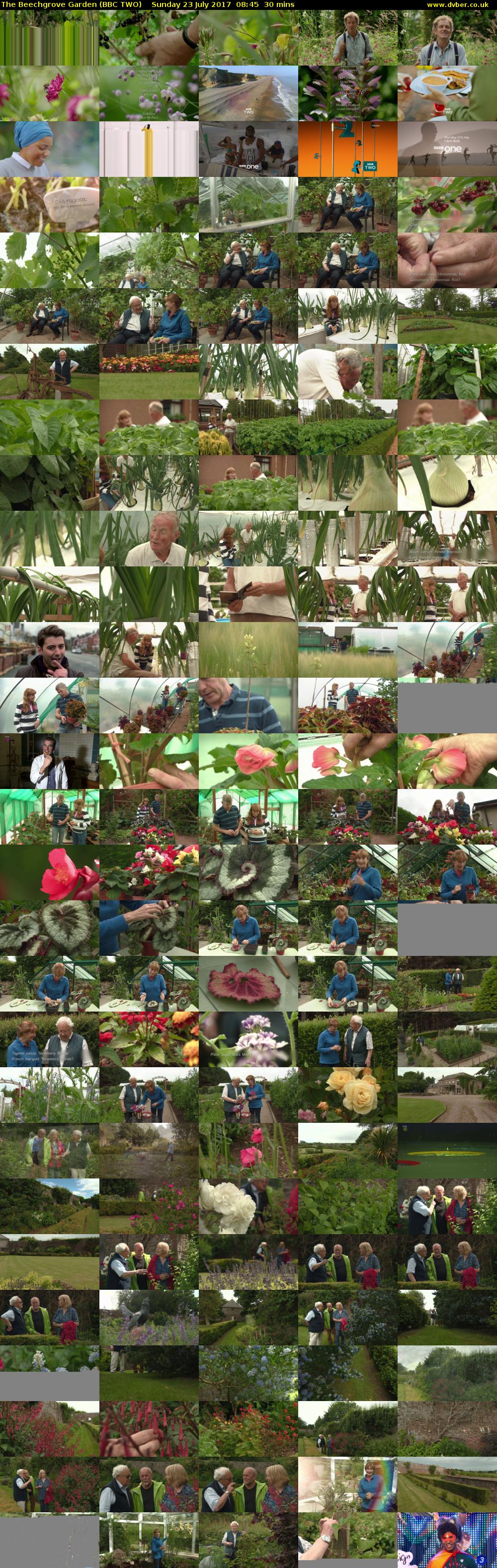 The Beechgrove Garden (BBC TWO) Sunday 23 July 2017 08:45 - 09:15