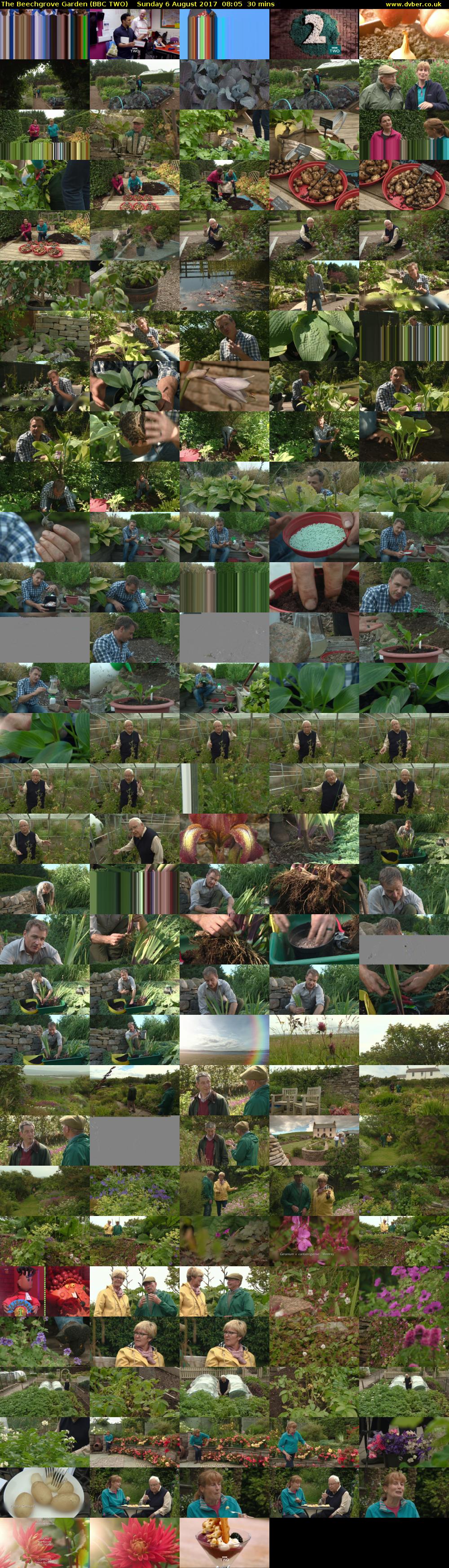 The Beechgrove Garden (BBC TWO) Sunday 6 August 2017 08:05 - 08:35