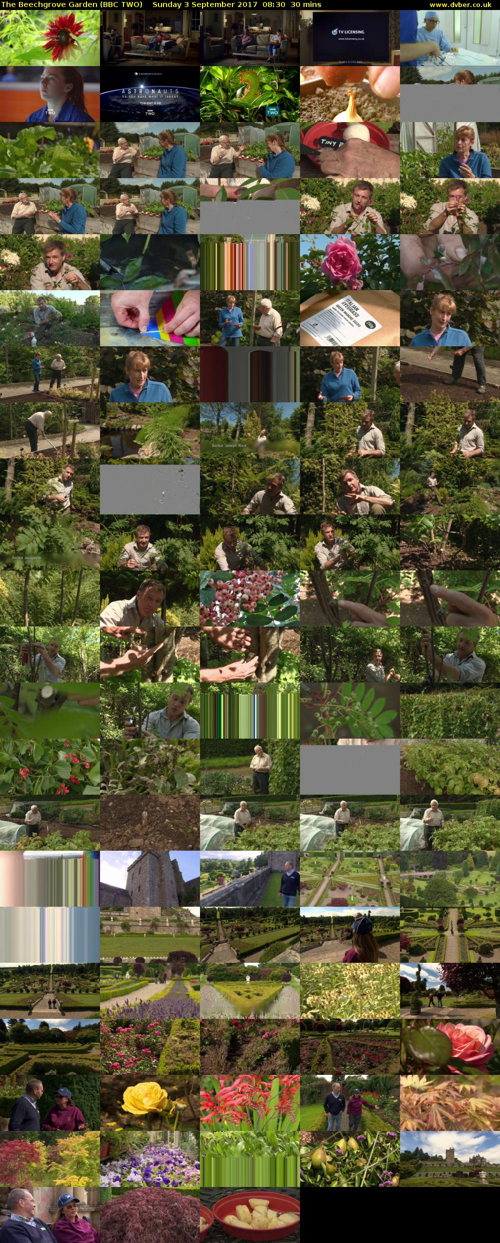 The Beechgrove Garden (BBC TWO) Sunday 3 September 2017 08:30 - 09:00