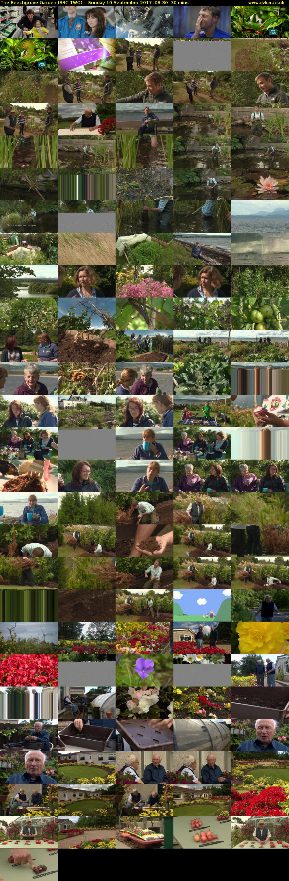The Beechgrove Garden (BBC TWO) Sunday 10 September 2017 08:30 - 09:00