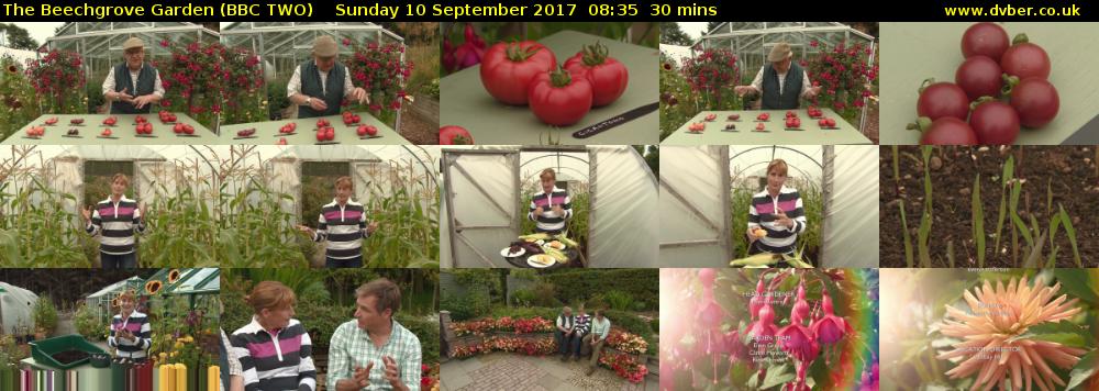 The Beechgrove Garden (BBC TWO) Sunday 10 September 2017 08:35 - 09:05