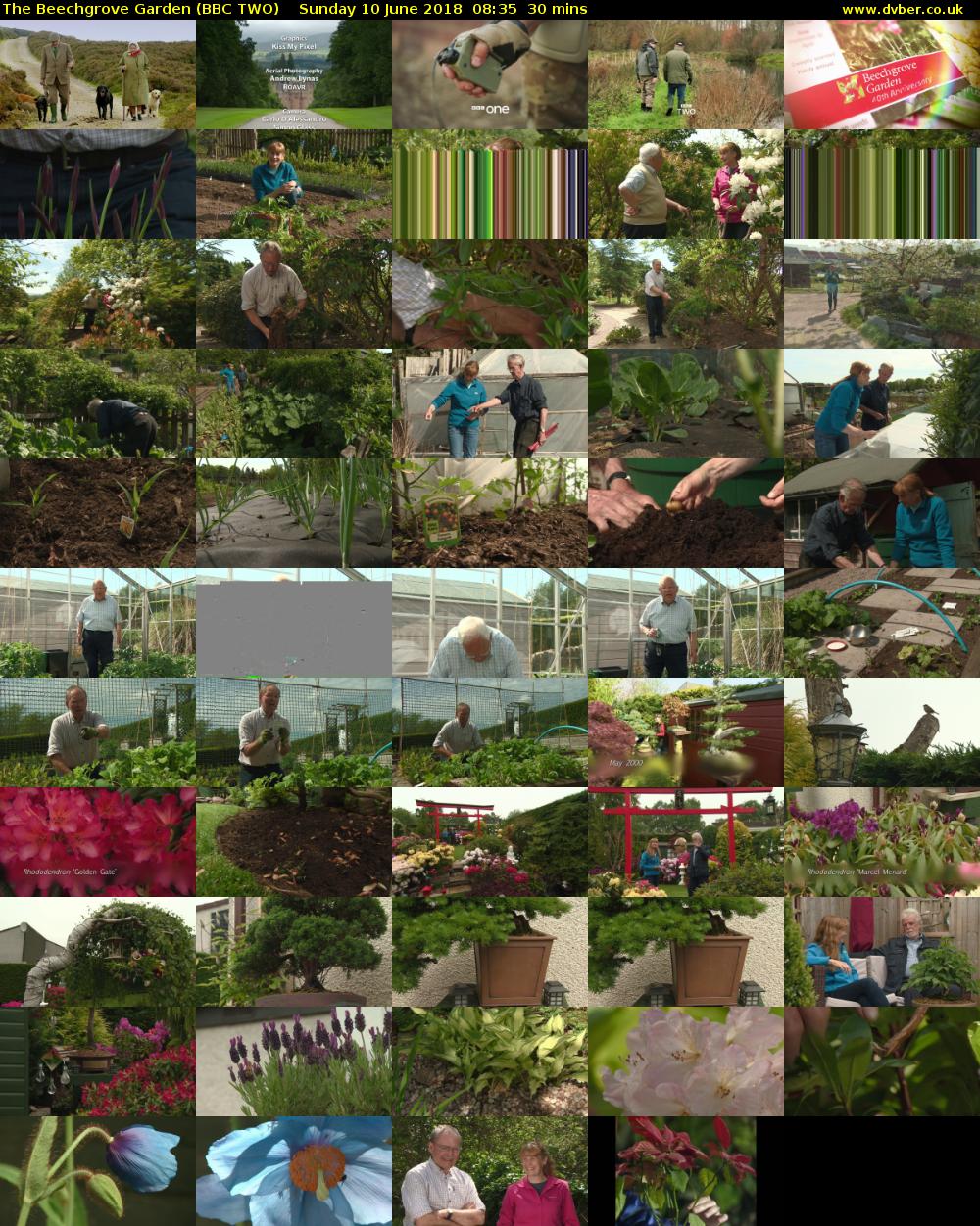 The Beechgrove Garden (BBC TWO) Sunday 10 June 2018 08:35 - 09:05