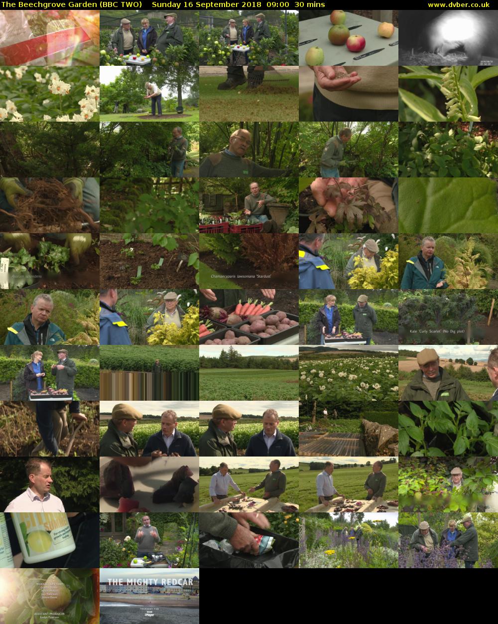 The Beechgrove Garden (BBC TWO) Sunday 16 September 2018 09:00 - 09:30
