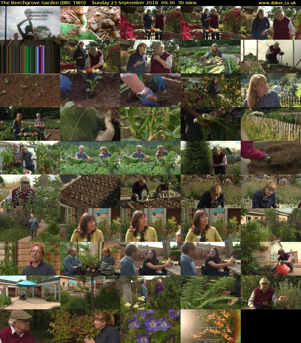 The Beechgrove Garden (BBC TWO) Sunday 23 September 2018 09:30 - 10:00