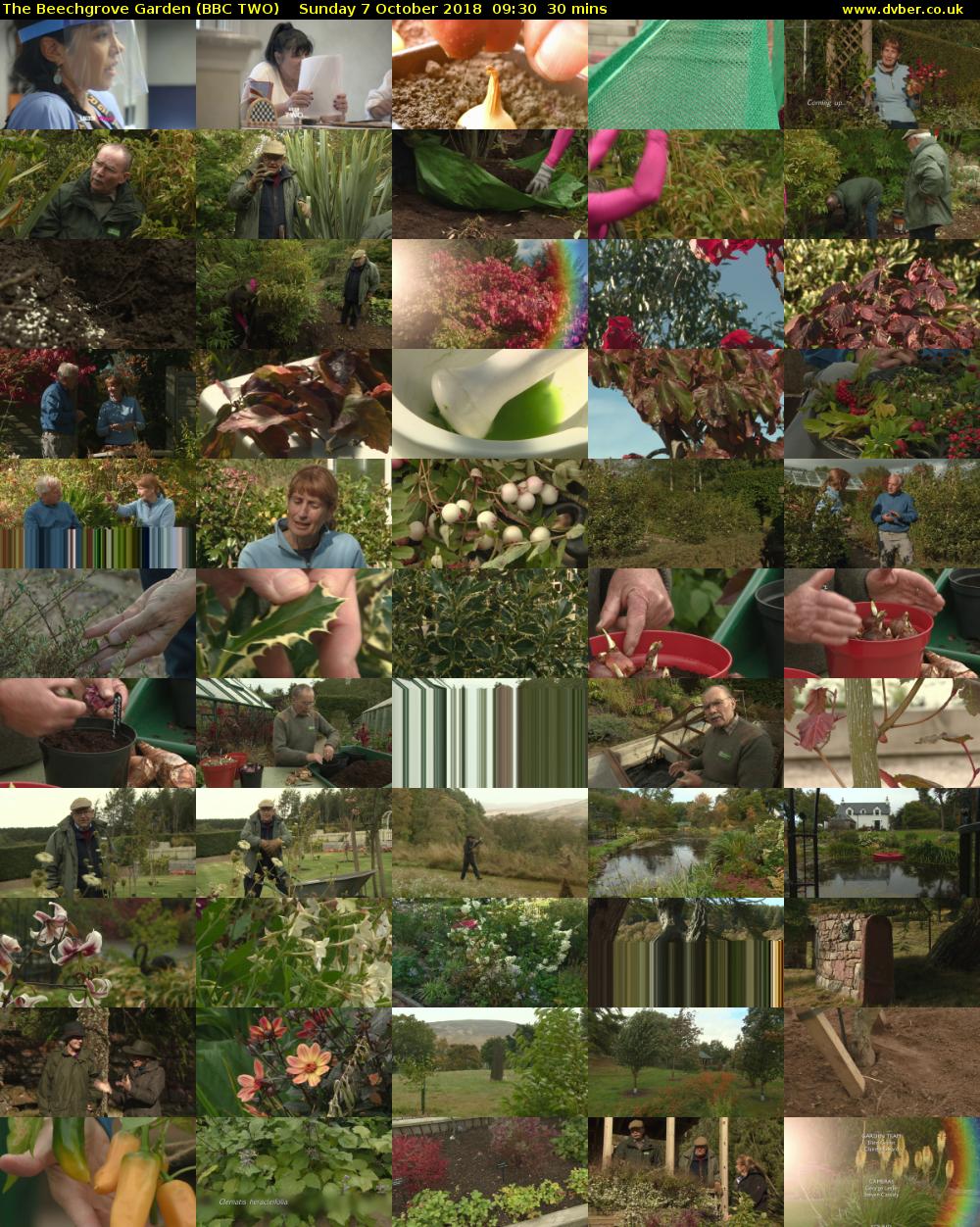 The Beechgrove Garden (BBC TWO) Sunday 7 October 2018 09:30 - 10:00